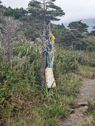 Trail markers at Cedar Cove