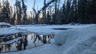 Freight Tait Spring Prince Albert National Park Saskatchewan Canada